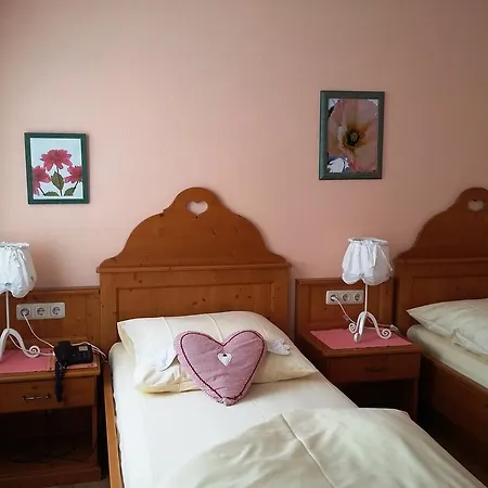 Otel Monaco 3*